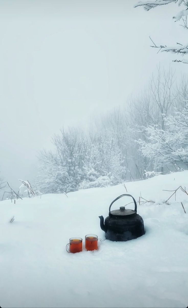 Зимние чаи, что согревают: лучшие Шу Пуэры, Габа и Хэй Ча для холодного времени года