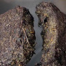 Чай черный Аньхуа Hunan Anhua Dark Tea Imperial Tianjian No. 1 Golden Flower Fu Brick 1кг, 1997 год